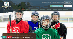 Desktop Screenshot of learnhockey.com